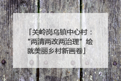 关岭岗乌镇中心村：“两清两改两治理”绘就美丽乡村新画卷