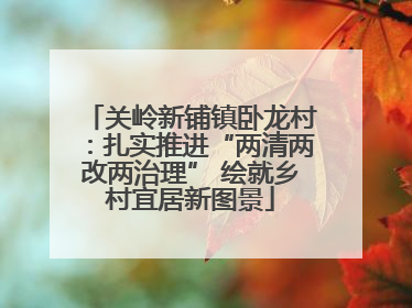 关岭新铺镇卧龙村：扎实推进“两清两改两治理” 绘就乡村宜居新图景