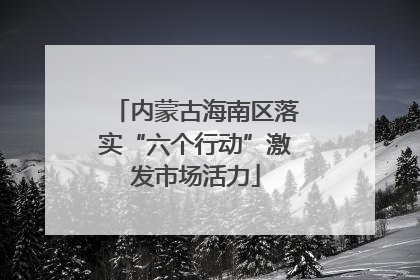 内蒙古海南区落实“六个行动”激发市场活力