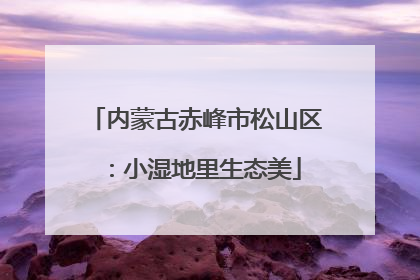内蒙古赤峰市松山区：小湿地里生态美