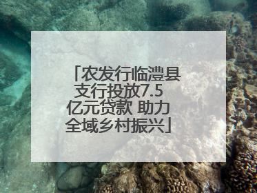 农发行临澧县支行投放7.5亿元贷款 助力全域乡村振兴