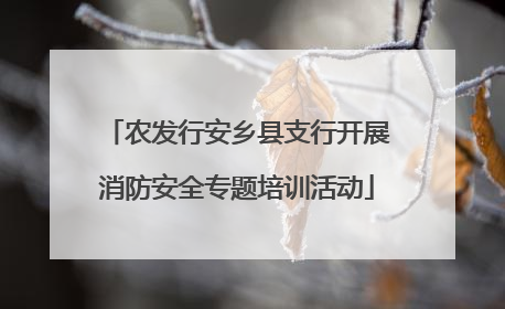 农发行安乡县支行开展消防安全专题培训活动