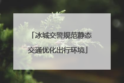冰城交警规范静态交通优化出行环境
