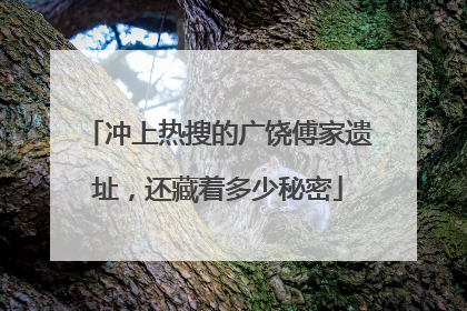 冲上热搜的广饶傅家遗址，还藏着多少秘密