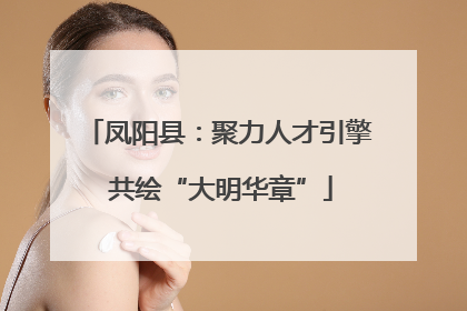 凤阳县：聚力人才引擎 共绘“大明华章”