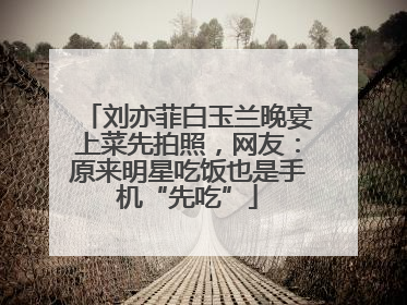 刘亦菲白玉兰晚宴上菜先拍照，网友：原来明星吃饭也是手机“先吃”
