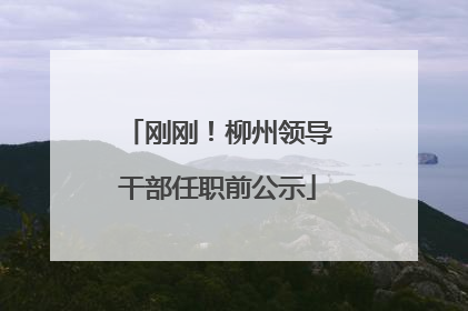 刚刚！柳州领导干部任职前公示