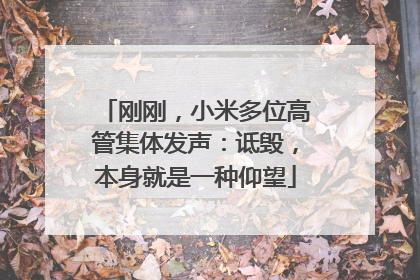 刚刚，小米多位高管集体发声：诋毁，本身就是一种仰望