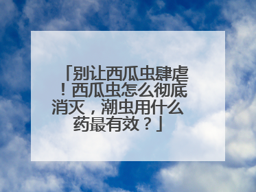别让西瓜虫肆虐！西瓜虫怎么彻底消灭，潮虫用什么药最有效？