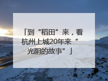 到“稻田”来，看杭州上城20年来“光阴的故事”