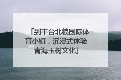 到丰台北粮国际体育小镇，沉浸式体验青海玉树文化