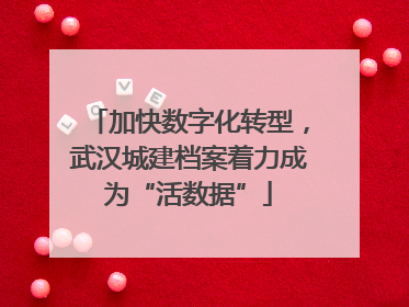 加快数字化转型，武汉城建档案着力成为“活数据”