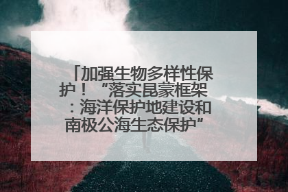 加强生物多样性保护！“落实昆蒙框架：海洋保护地建设和南极公海生态保护”主题论坛将举办