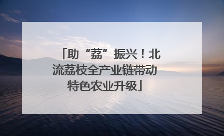 助“荔”振兴！北流荔枝全产业链带动特色农业升级