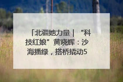 北疆她力量｜“科技红娘”黄晓辉：沙海播绿，搭桥撬动5.3亿研发