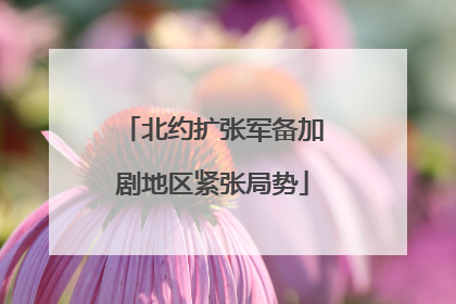 北约扩张军备加剧地区紧张局势