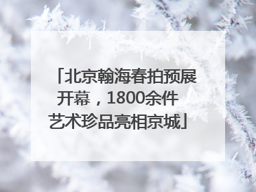 北京翰海春拍预展开幕，1800余件艺术珍品亮相京城