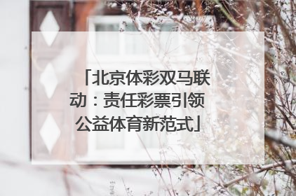 北京体彩双马联动：责任彩票引领公益体育新范式