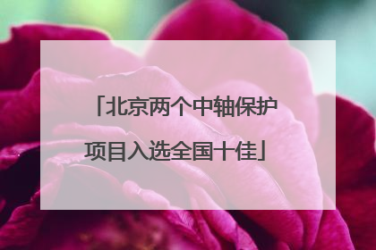 北京两个中轴保护项目入选全国十佳