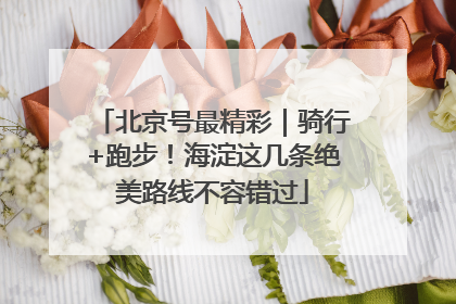 北京号最精彩｜骑行+跑步！海淀这几条绝美路线不容错过