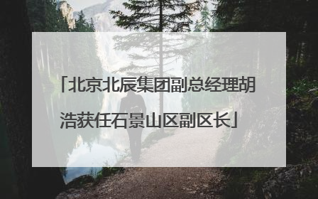 北京北辰集团副总经理胡浩获任石景山区副区长
