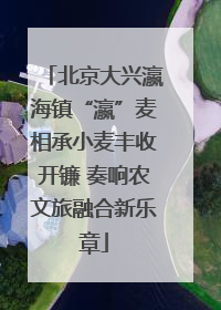 北京大兴瀛海镇“瀛”麦相承小麦丰收开镰 奏响农文旅融合新乐章