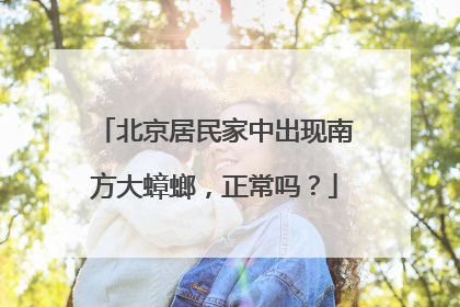北京居民家中出现南方大蟑螂，正常吗？