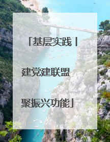 基层实践丨建党建联盟 聚振兴功能