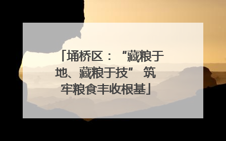 埇桥区：“藏粮于地、藏粮于技” 筑牢粮食丰收根基