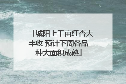 城阳上千亩红杏大丰收 预计下周各品种大面积成熟