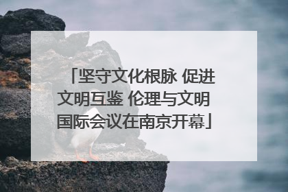 坚守文化根脉 促进文明互鉴 伦理与文明国际会议在南京开幕