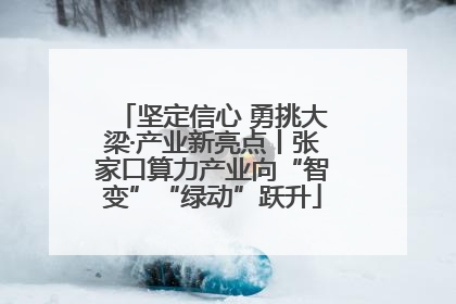 坚定信心 勇挑大梁·产业新亮点丨张家口算力产业向“智变”“绿动”跃升