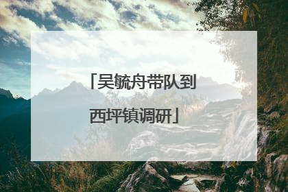 吴毓舟带队到西坪镇调研