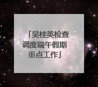 吴桂英检查调度端午假期重点工作