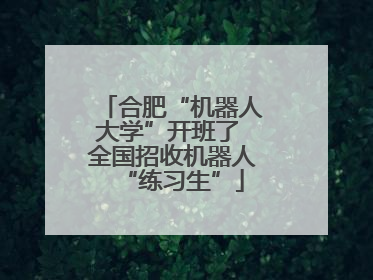 合肥“机器人大学”开班了 全国招收机器人“练习生”