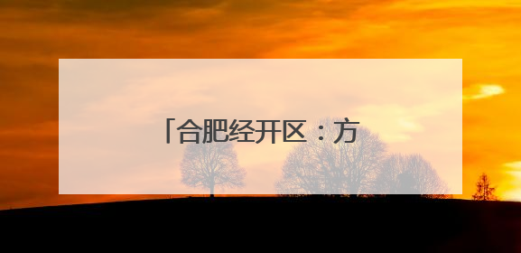 合肥经开区：方寸之间，细绘城市治理“工笔画”