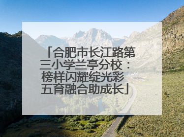 合肥市长江路第三小学兰亭分校：榜样闪耀绽光彩 五育融合助成长