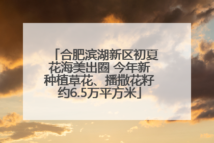 合肥滨湖新区初夏花海美出圈 今年新种植草花、播撒花籽约6.5万平方米