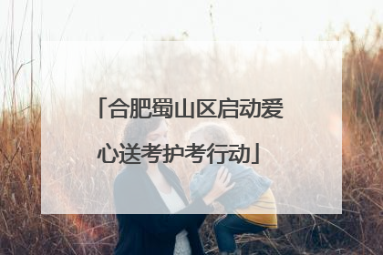 合肥蜀山区启动爱心送考护考行动