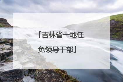 吉林省一地任免领导干部