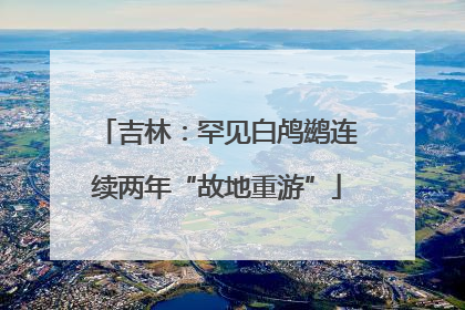 吉林：罕见白鸬鹚连续两年“故地重游”
