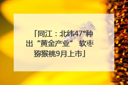 同江：北纬47°种出“黄金产业” 软枣猕猴桃9月上市