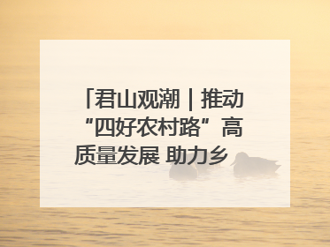 君山观潮｜推动“四好农村路”高质量发展 助力乡村振兴出新彩