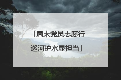 周末党员志愿行 巡河护水显担当