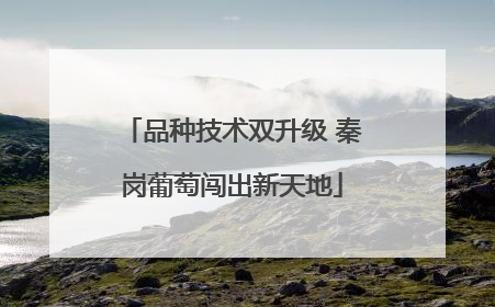 品种技术双升级 秦岗葡萄闯出新天地