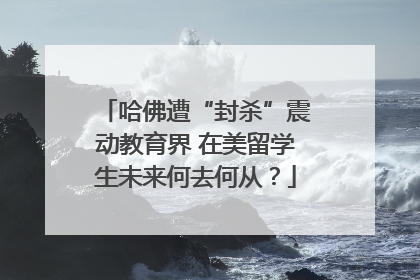 哈佛遭“封杀”震动教育界 在美留学生未来何去何从？