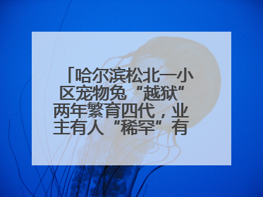 哈尔滨松北一小区宠物兔“越狱”两年繁育四代，业主有人“稀罕”有人忧，专家提醒