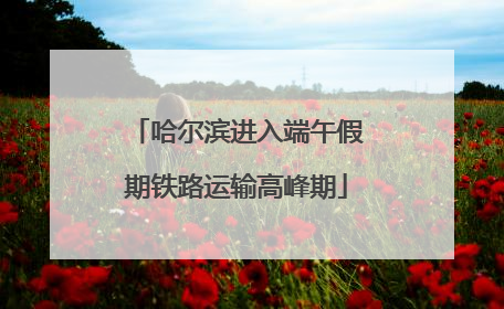 哈尔滨进入端午假期铁路运输高峰期