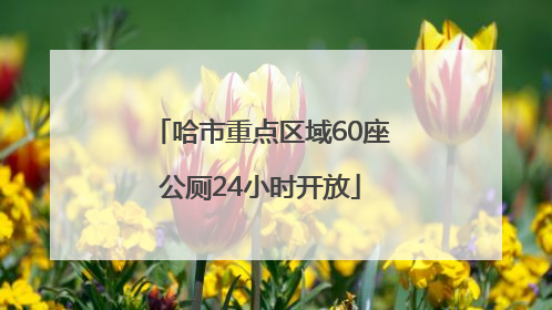哈市重点区域60座公厕24小时开放