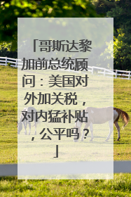 哥斯达黎加前总统顾问：美国对外加关税，对内猛补贴，公平吗？